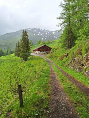 Tauernberg ALM-Hütte